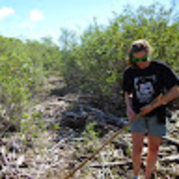 Meet your Posher, Tori - Picture 1 of 1